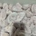 小肚
