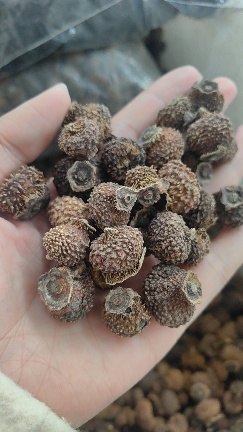 刺梨干统货泡水