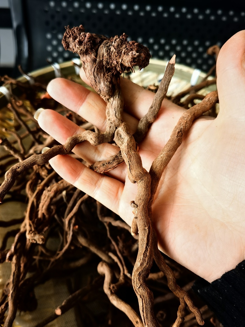优质野生茜草产地直发血见愁多年生水洗无青苗新货无硫