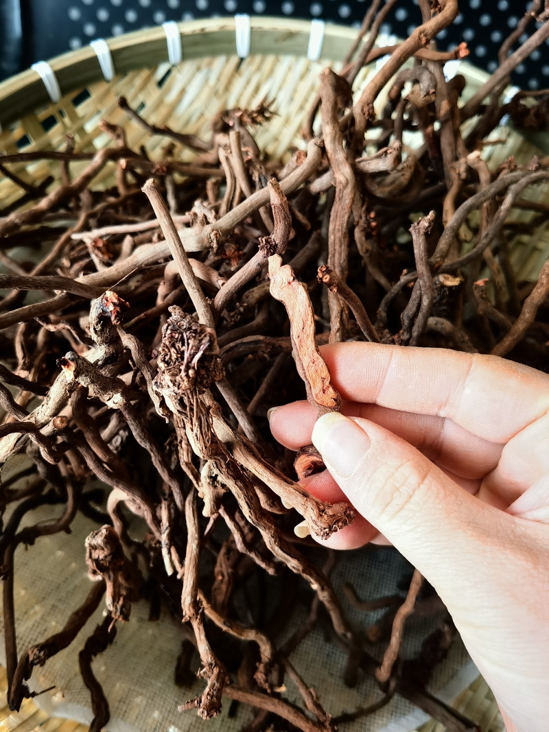 优质野生茜草产地直发血见愁多年生水洗无青苗新货无硫