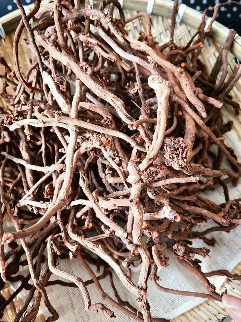 优质野生茜草产地直发血见愁多年生水洗无青苗新货无硫
