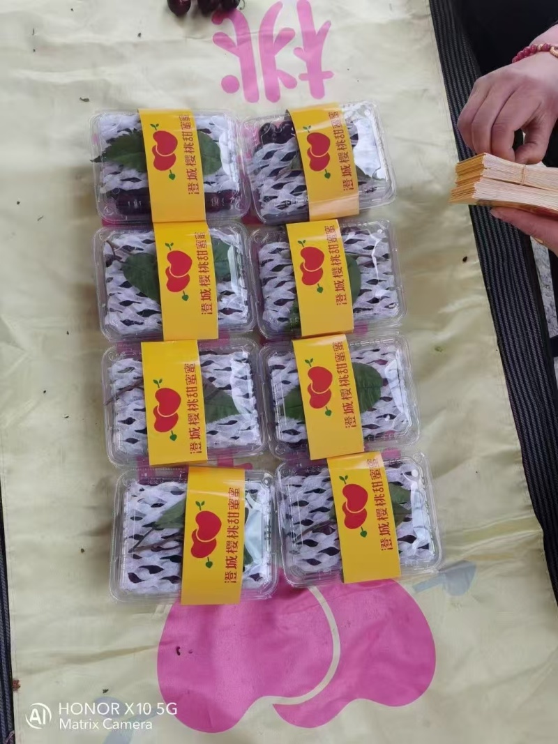 澄城樱桃甜蜜蜜大棚麦早樱诚招全国大客商电商供应链团购商超