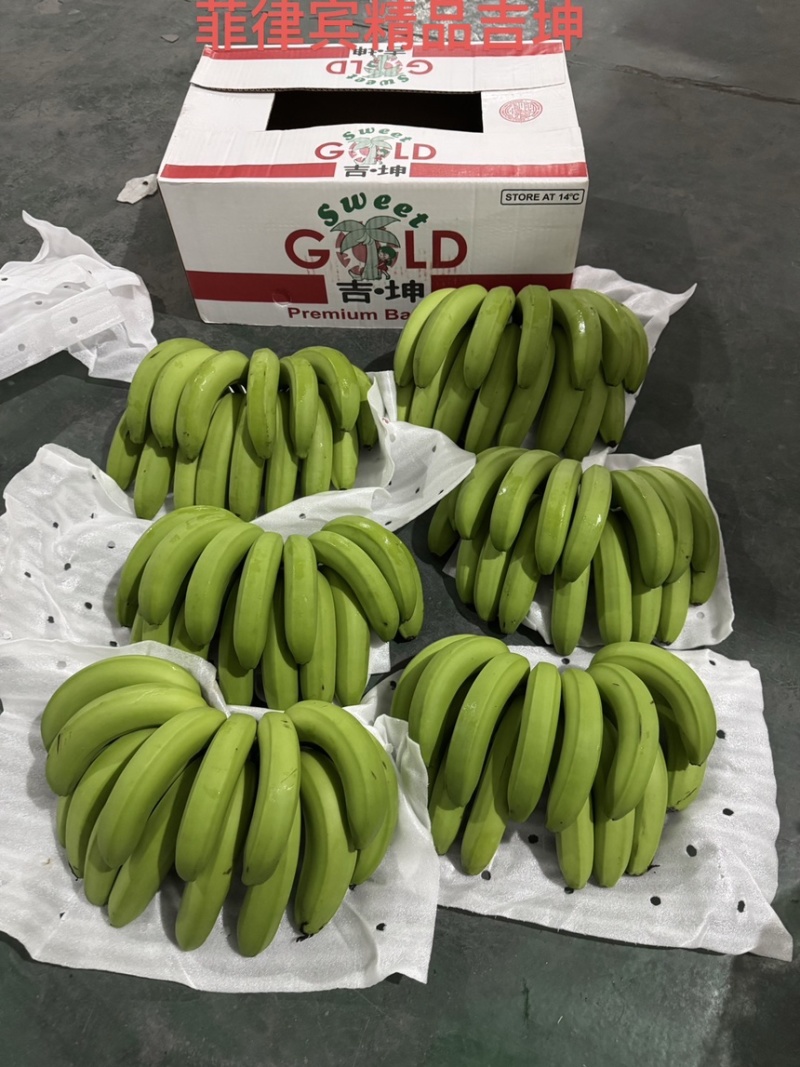 国产香蕉规格齐全产地直发价格特惠保质保量全国发货