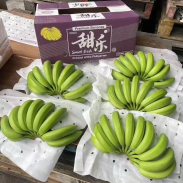 国产香蕉规格齐全产地直发价格特惠保质保量全国发货
