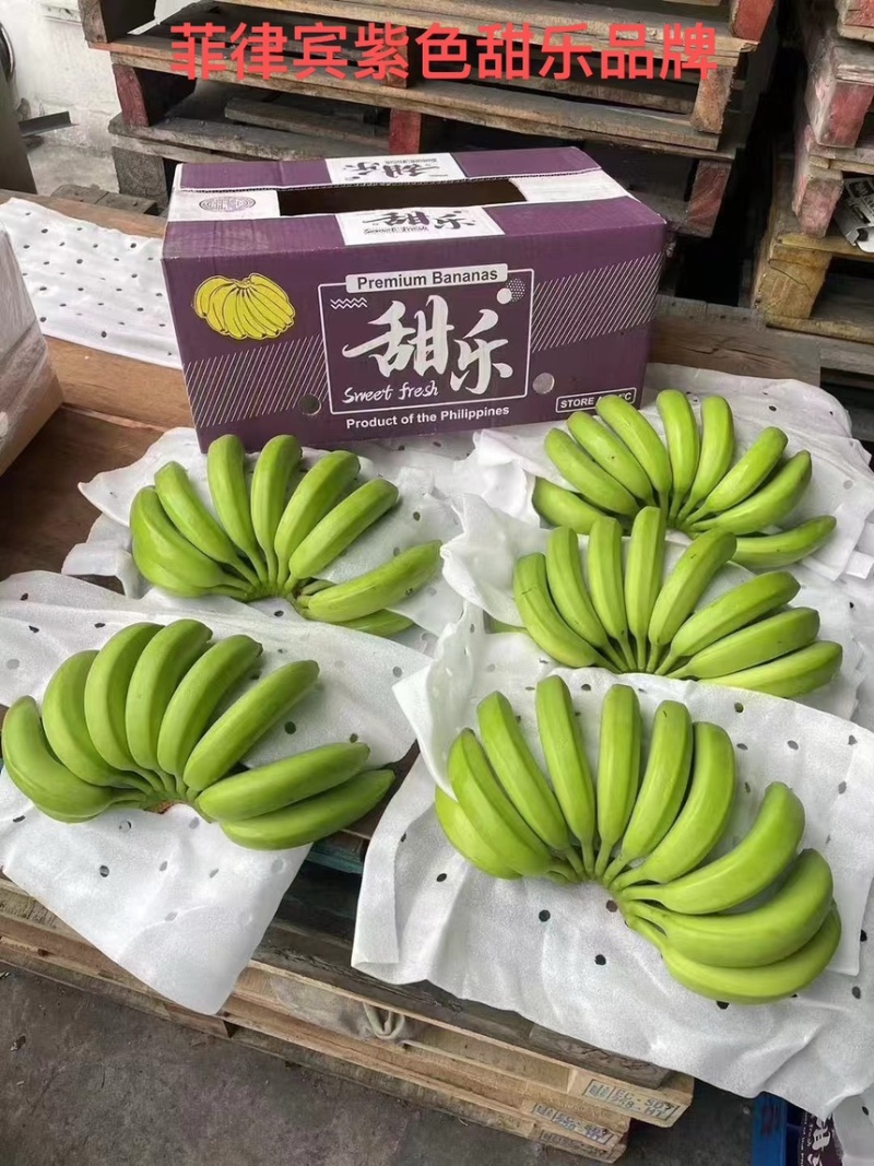 国产香蕉规格齐全产地直发价格特惠保质保量全国发货