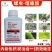 33%螺虫噻嗪酮果树介壳虫内吸杀虫杀卵杀虫剂