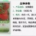 【安娜番茄】杂交一代进口大红果耐热苹果型耐储运