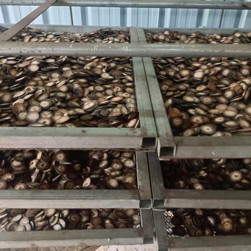 陈年橘红片，大量供应量大从优，品质保证