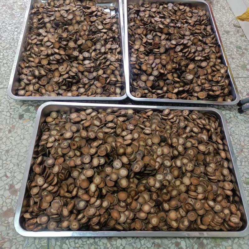 陈年橘红片，大量供应量大从优，品质保证