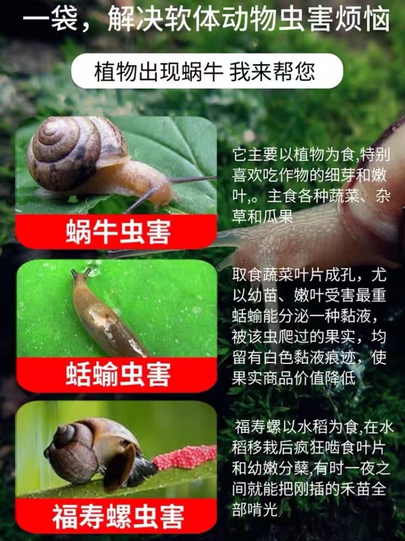 80%四聚乙醛杀虫剂蜗牛福寿螺鼻涕虫蛞蝓等
