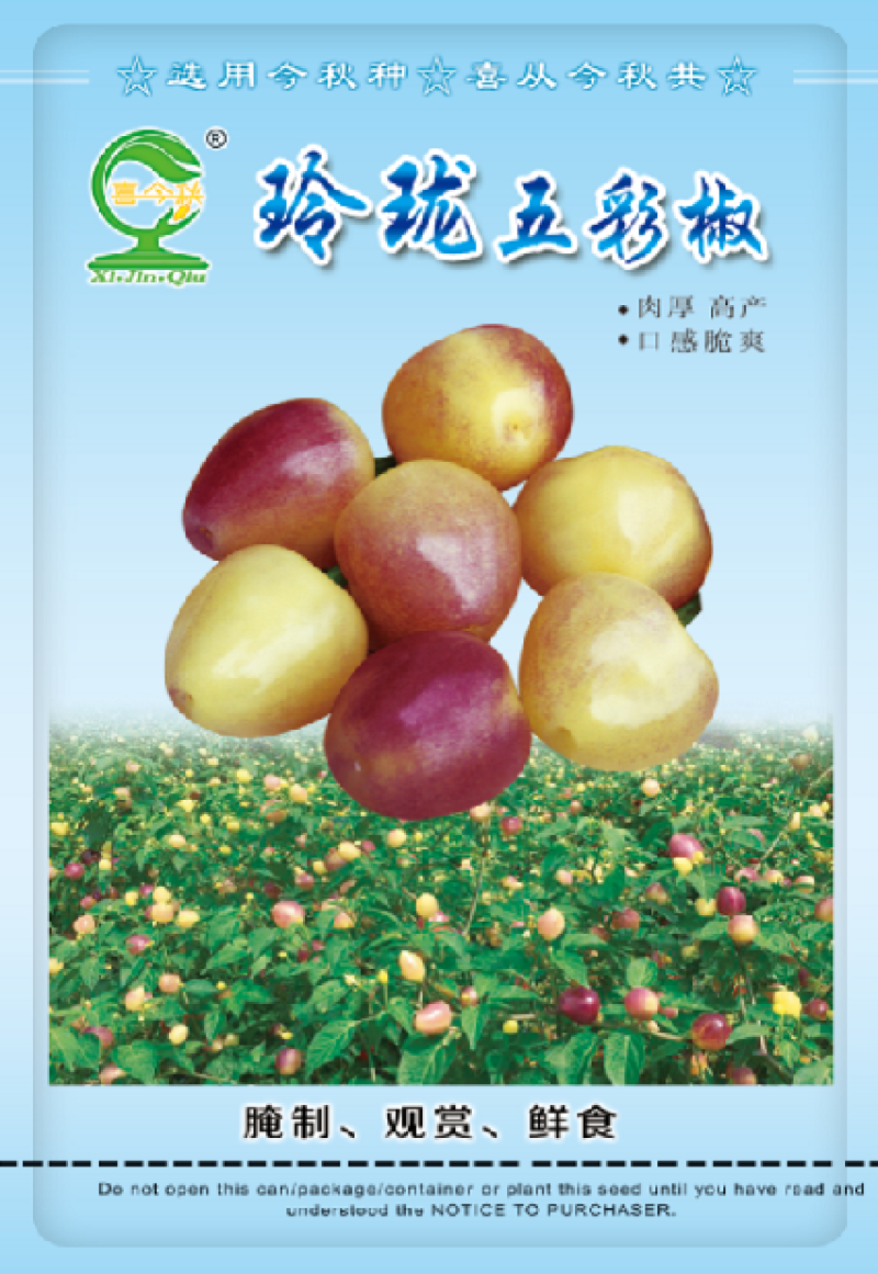 玲珑五彩椒中晚熟肉脆丰产