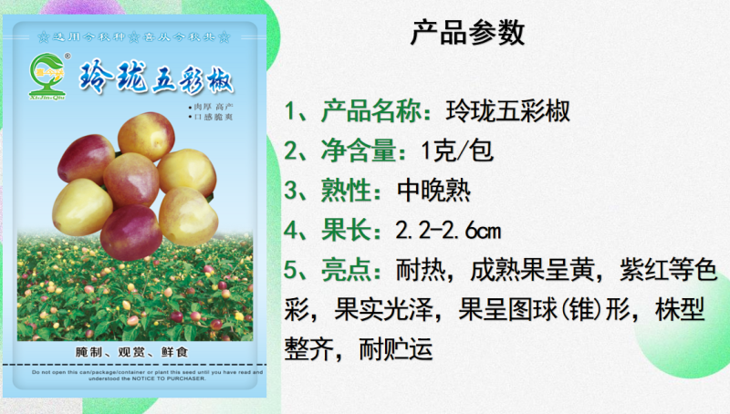 玲珑五彩椒中晚熟肉脆丰产