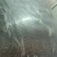干豆角货源充足，产地直发，诚信经营，欢迎客商来电