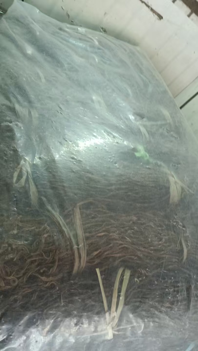 干豆角货源充足，产地直发，诚信经营，欢迎客商来电