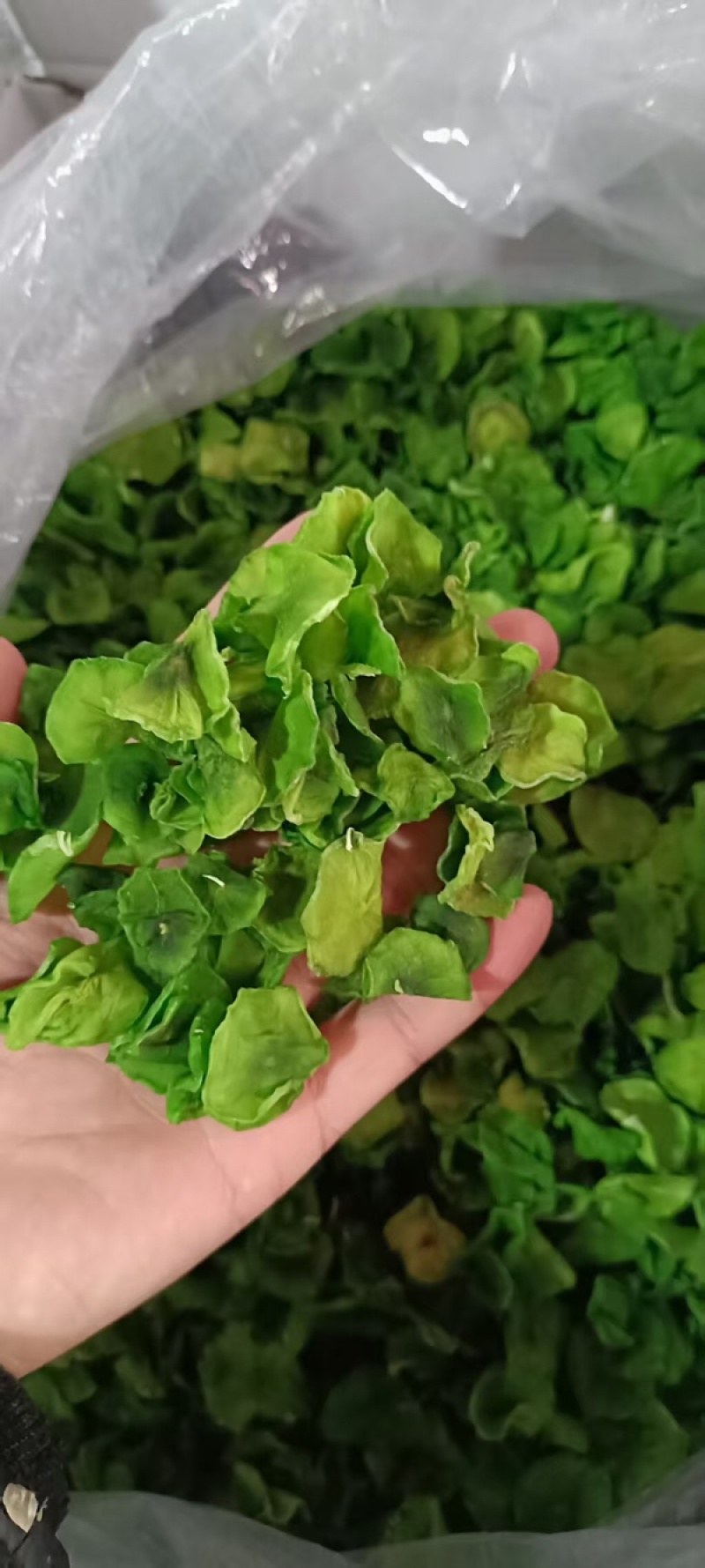 脱水莴笋片货源充足，产地直发，诚信经营，欢迎客商来电