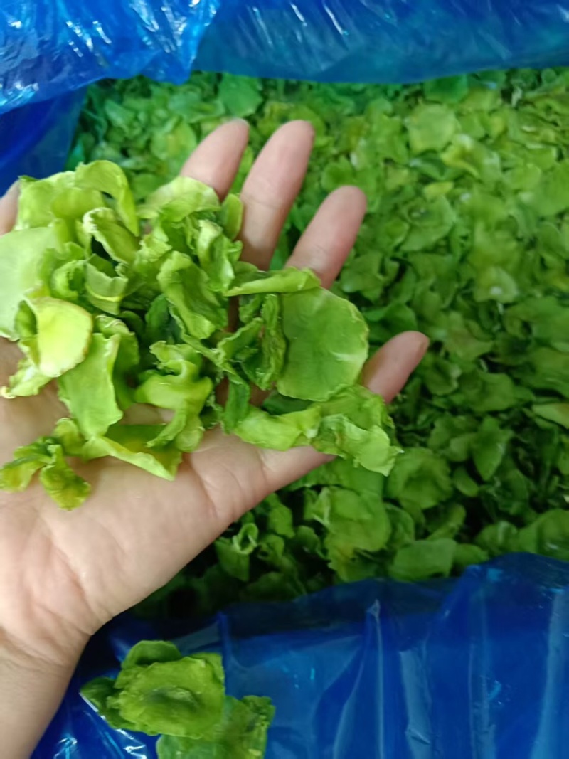 脱水莴笋片货源充足，产地直发，诚信经营，欢迎客商来电