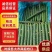 【精品】黄瓜密刺/黑油亮黄瓜质量保证对接全国各地