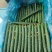 【精品】黄瓜密刺/黑油亮黄瓜质量保证对接全国各地