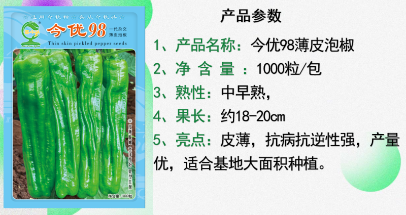 （今优98）薄皮泡椒壹代杂交中早熟产量高品质佳