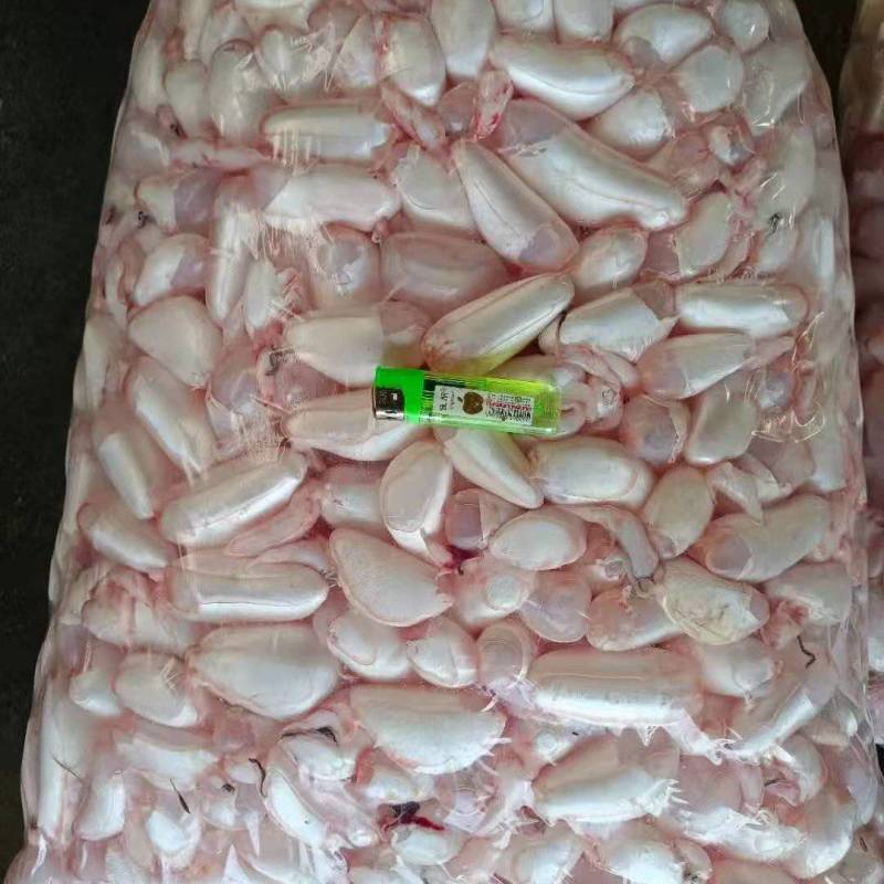 潜江鱼泡鱼鳔大量有货，一手货源产地直发，欢迎咨询