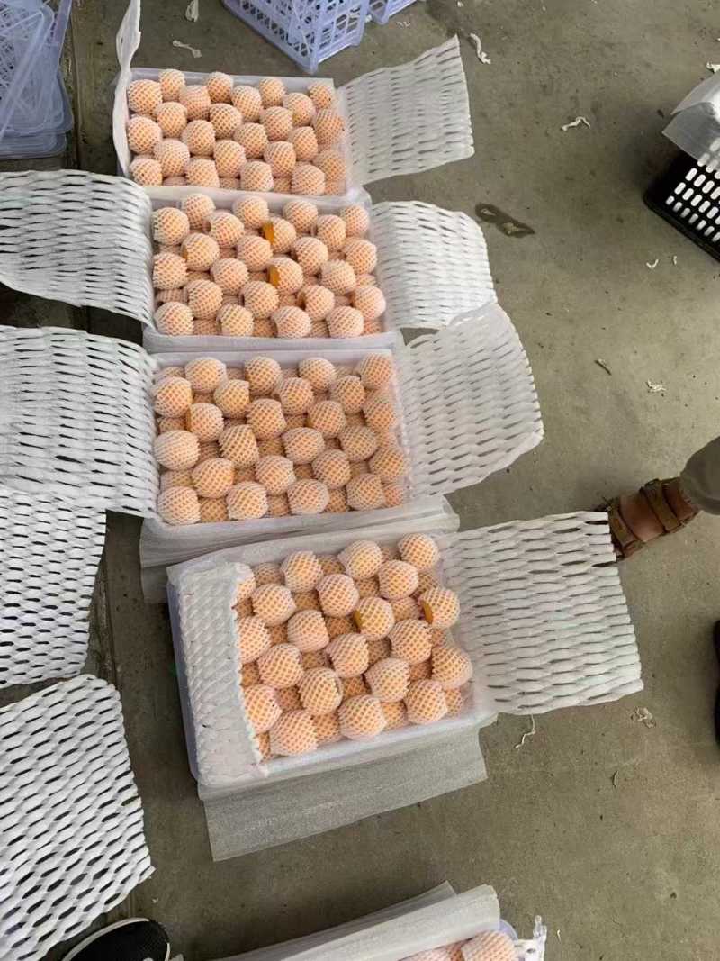 枇杷，