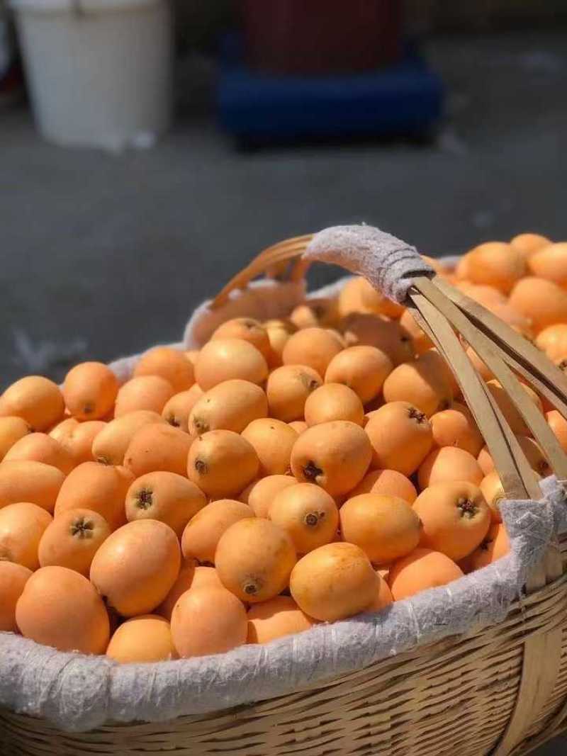 枇杷，