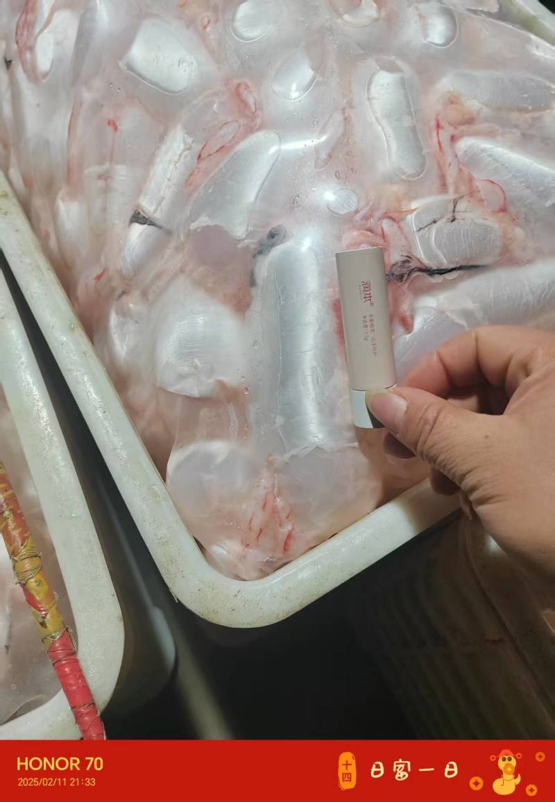 潜江鱼泡鱼鳔大量有货，一手货源产地直发，欢迎咨询