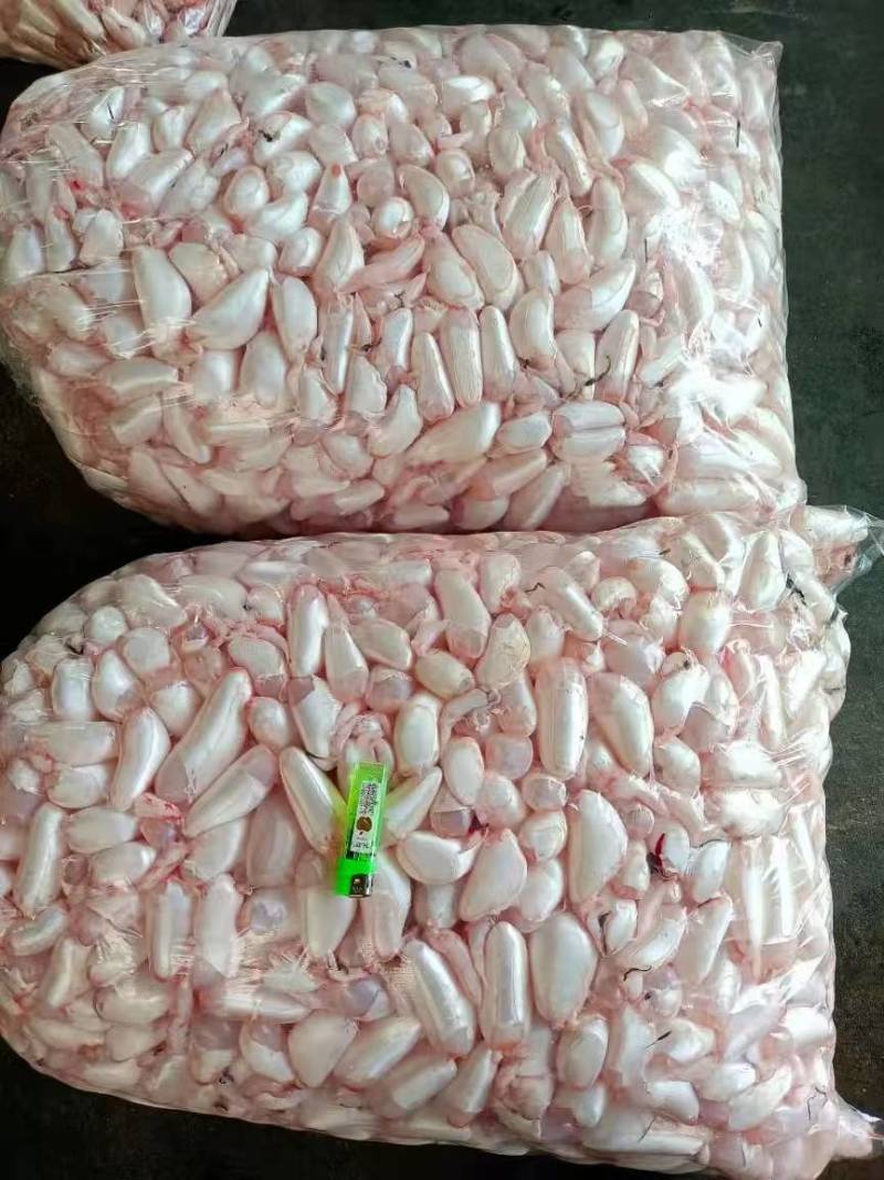 潜江鱼泡鱼鳔大量有货，一手货源产地直发，欢迎咨询