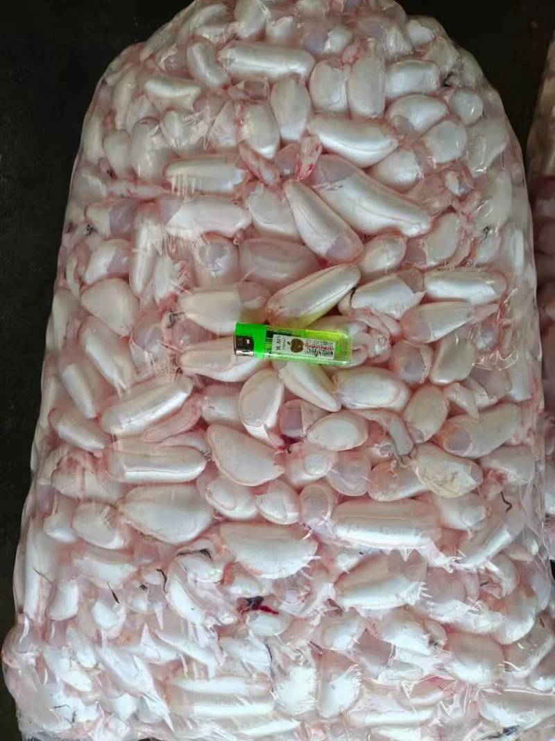 潜江鱼泡鱼鳔大量有货，一手货源产地直发，欢迎咨询