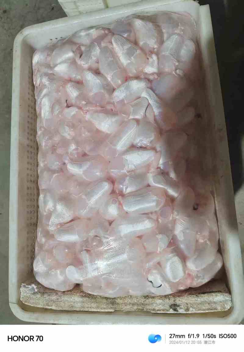 潜江鱼泡鱼鳔大量有货，一手货源产地直发，欢迎咨询