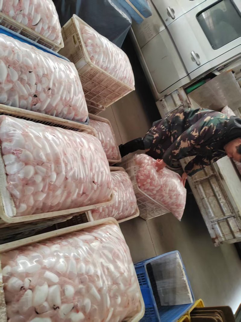 潜江鱼泡鱼鳔大量有货，一手货源产地直发，欢迎咨询