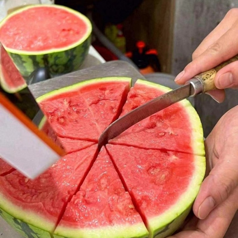 河南精品美都西瓜大量上市品质保证一手货源量大从优