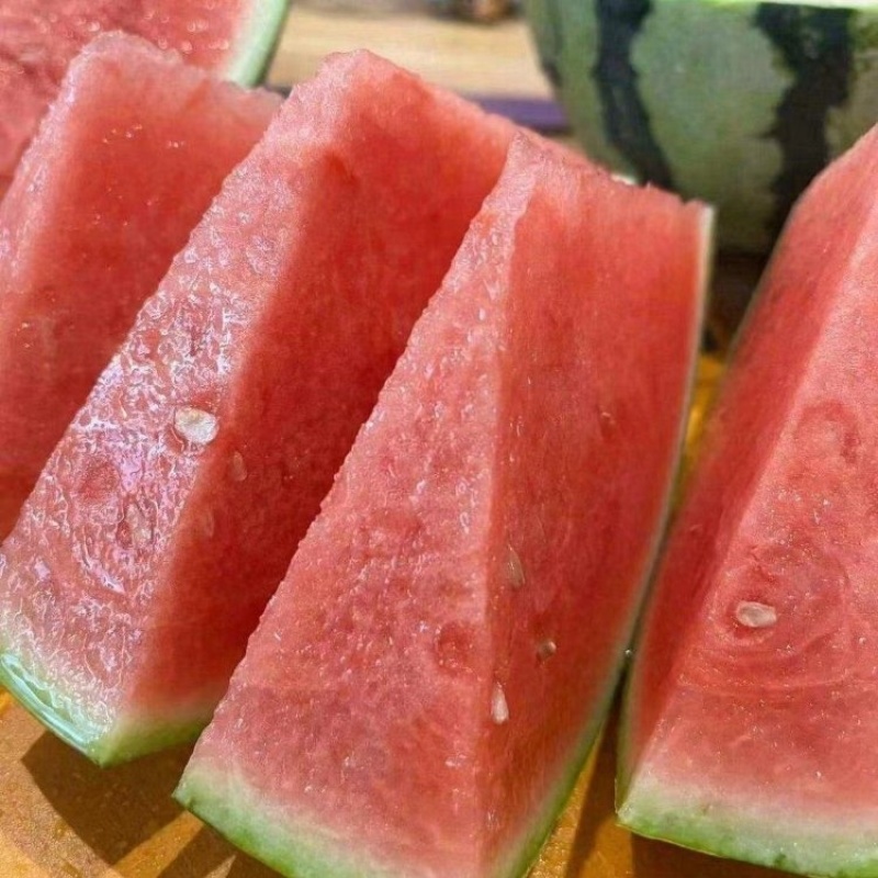 河南精品美都西瓜大量上市品质保证一手货源量大从优