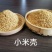 小米壳