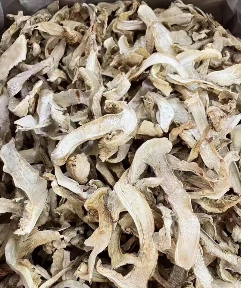 去皮松茸干片