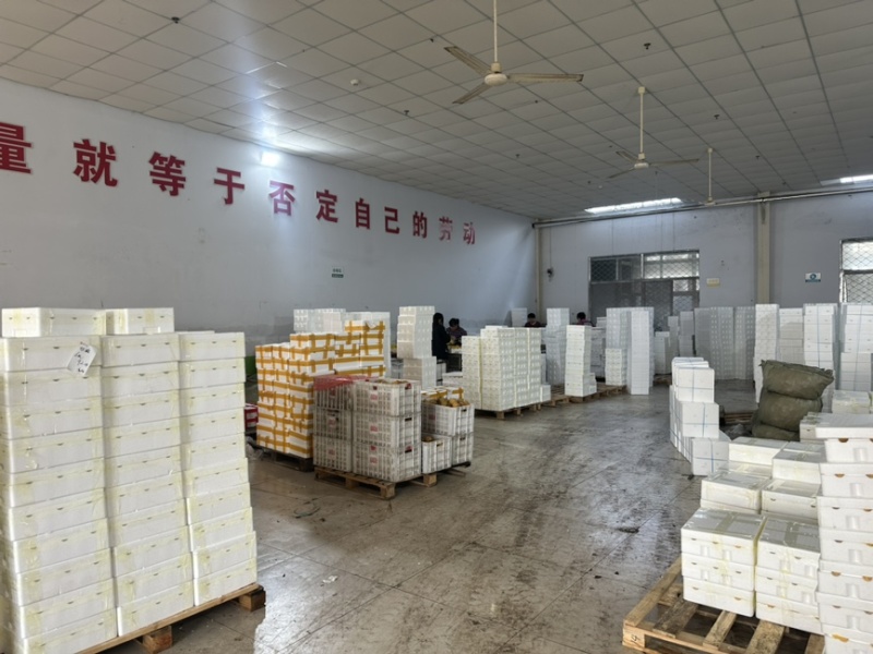 山东黄金维纳斯苹果脆甜爆汁可对接平台一件代发