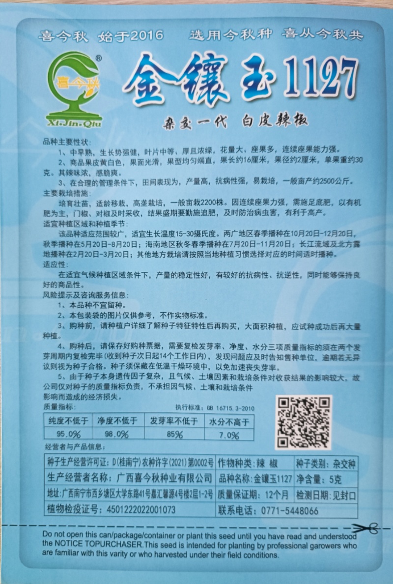 【金镶玉1127白皮辣椒】中熟大果高产适合腌制加工
