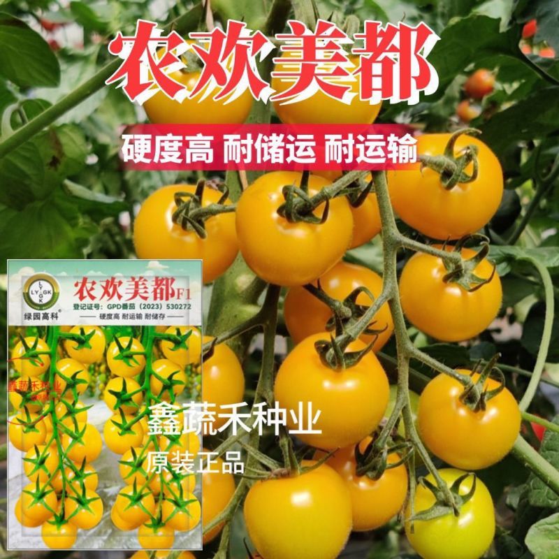 农欢美都黄小番茄种子椭圆果无限生长型小西红柿种籽硬度好耐