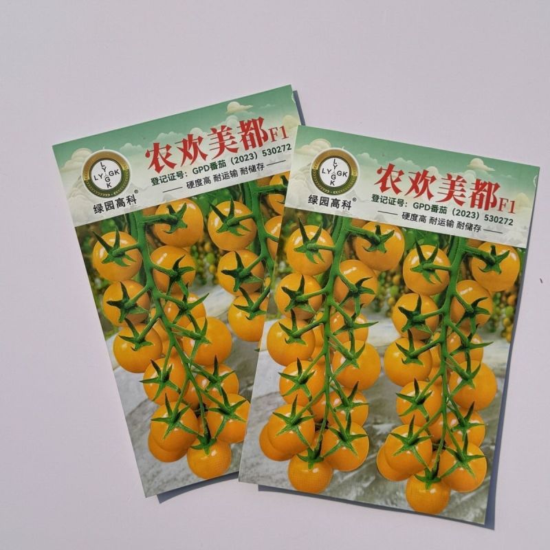 农欢美都黄小番茄种子椭圆果无限生长型小西红柿种籽硬度好耐