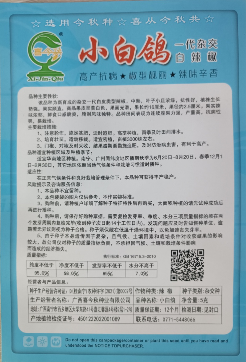 【小白鸽】杂交一代中熟皮黄白色椒型靓丽辛香产量佳
