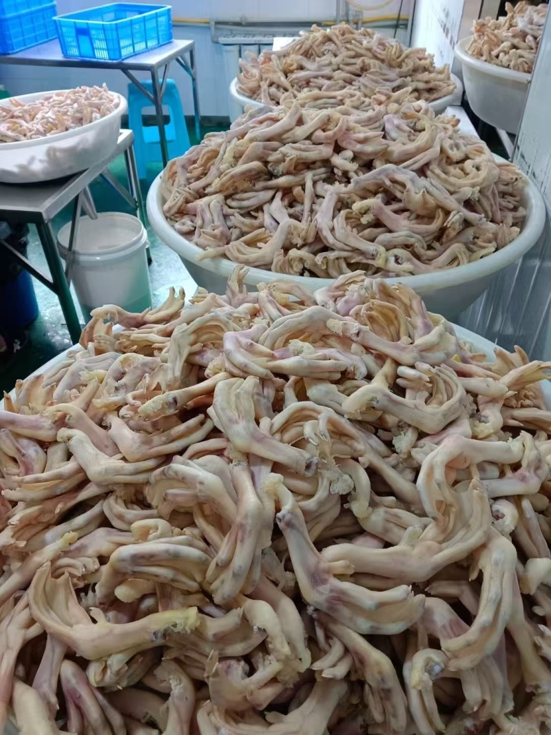 鸭掌大号汤锅烧烤卤菜