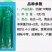 【巴椒119青椒】杂交一代青皮尖椒早熟挂果集中产量佳