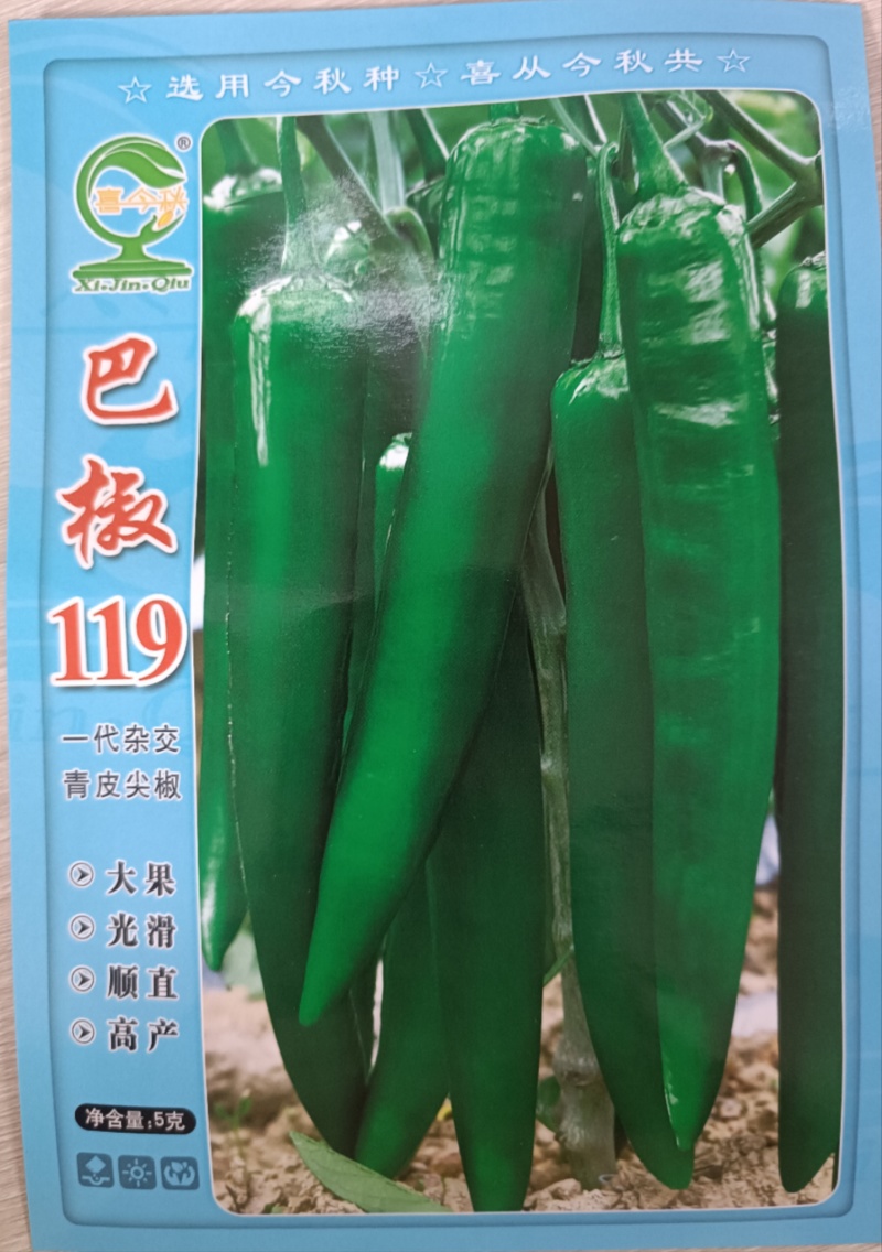 【巴椒119青椒】杂交一代青皮尖椒早熟挂果集中产量佳