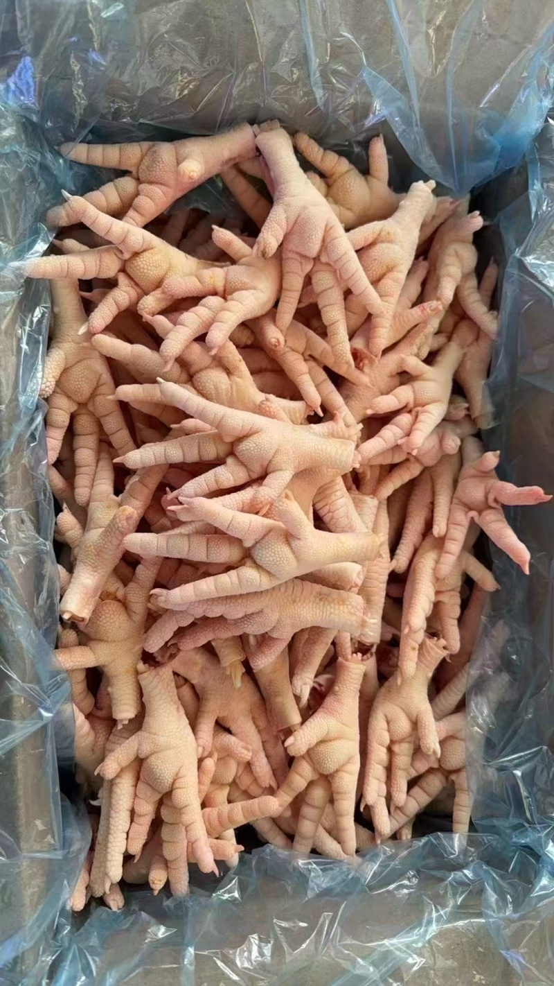 鸡脚中号卤菜KTV火锅汤锅烧烤