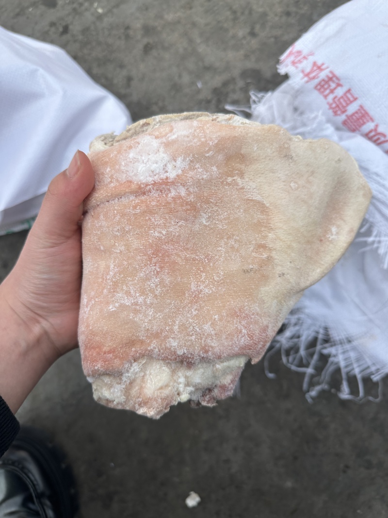 前后混装肘子
