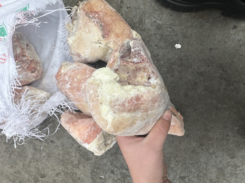 前后混装肘子