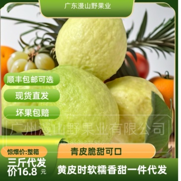 一件代发白心珍珠芭乐一件代发服务到家坏果包赔缺斤包赔