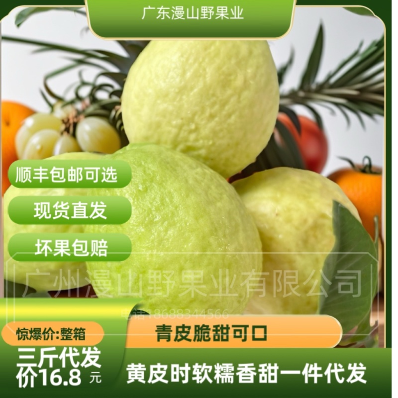 一件代发白心珍珠芭乐一件代发服务到家坏果包赔缺斤包赔
