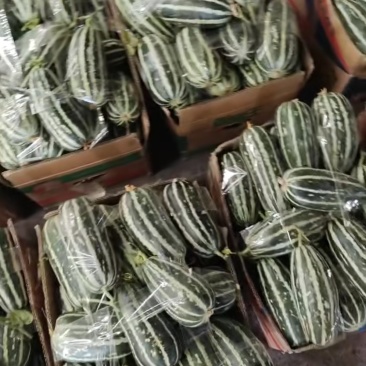 各类甜瓜价格不等，