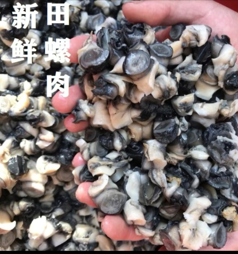 新鲜田螺肉，干净无沙个头大，新鲜肥美，物美价廉
